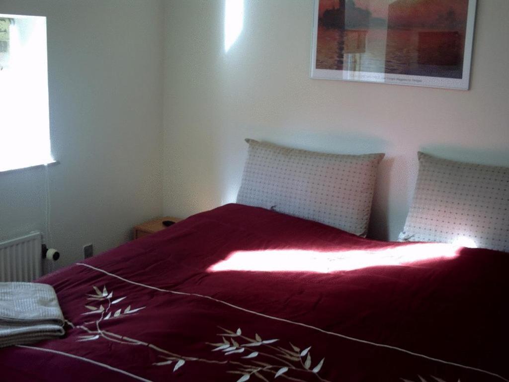 Motel Stege Buitenkant foto